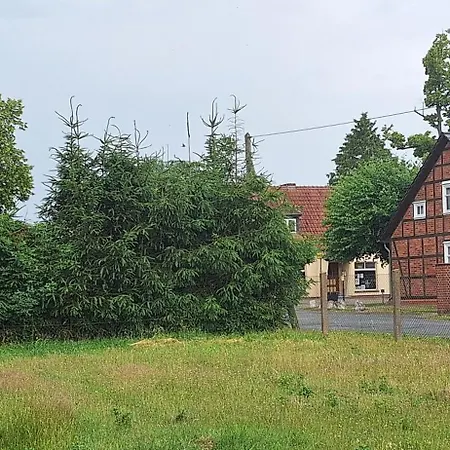 Tiny House An Der Pferdekoppel Holiday home Gross Garz